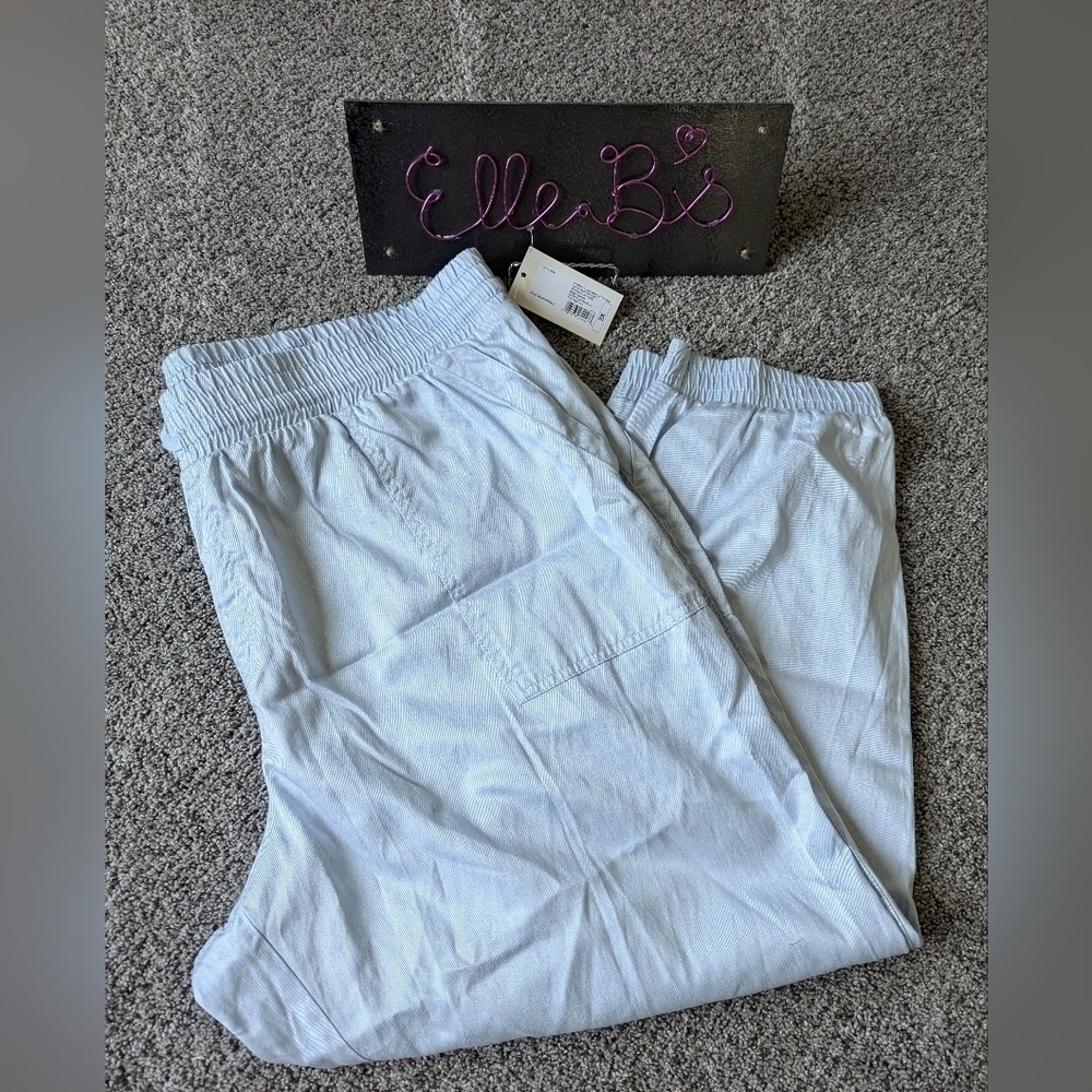 NWT A New Day Light Blue Pants 2X